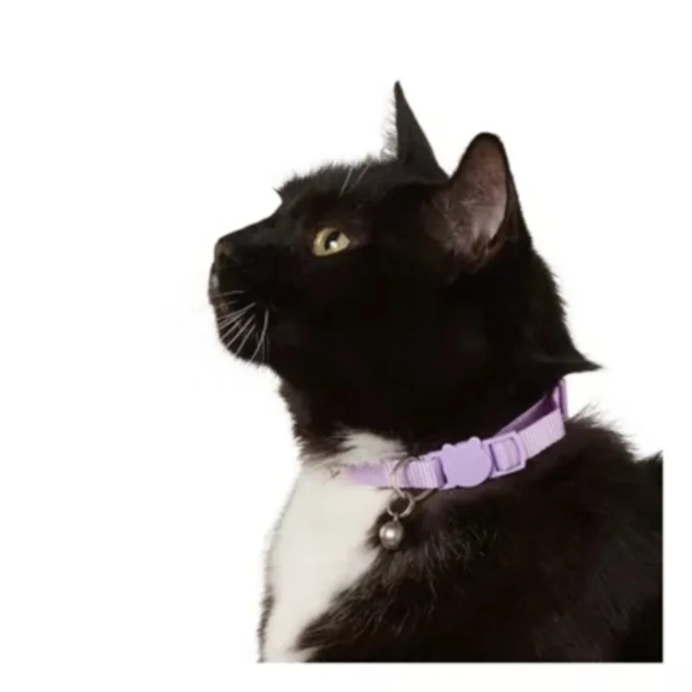 Whisker City NWT Exclusive Lavender Purple Easy Release Adult Cat Collar 8-12in